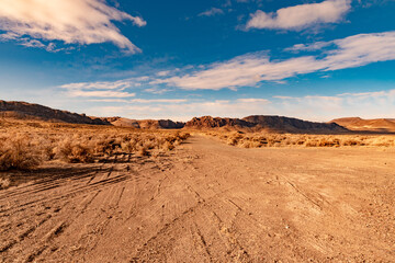 USA, NV, the 23 of November 2020, Nevada desert landscape.  © Oleksandr