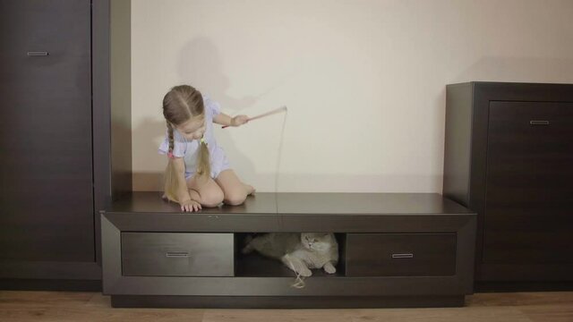 Child and pet at home. Small cute child playing with big fluffy cat. Domestic animal and kid friendship. Cozy scene, lifestyle.