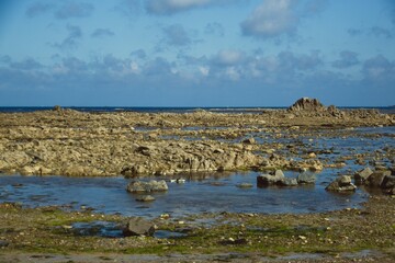 landscape with water