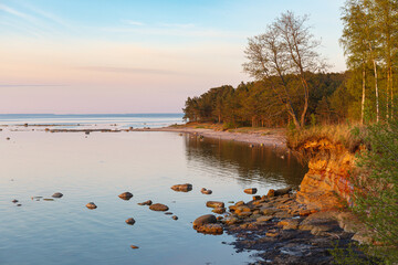 Sandstone cliff lit by warm cunset sunshine. Baltic sea, Estonia.