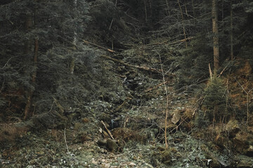 Obraz premium Mountain river among rocks and forest. Beautiful mountain landscape. Copy, empty space for text