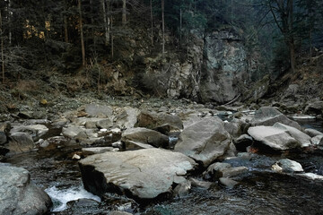 Mountain river among rocks and forest. Beautiful mountain landscape. Copy, empty space for text