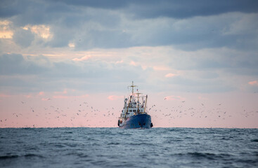 Return of the fishing seiner after the catch