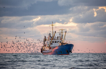 Return of the fishing seiner after the catch - obrazy, fototapety, plakaty