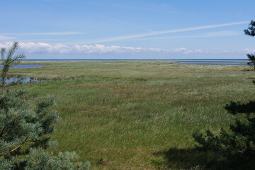 Brackwasser bzw. Sumpf im Naturpark Darßer Ort auf Halbinsel Darß mit Wanderweg, Bohlenweg, Dünen, Dünenlandschaft, Brackwasser, Naturreservat, Sanddünen, Kiefern und Urwald an der Ostsee