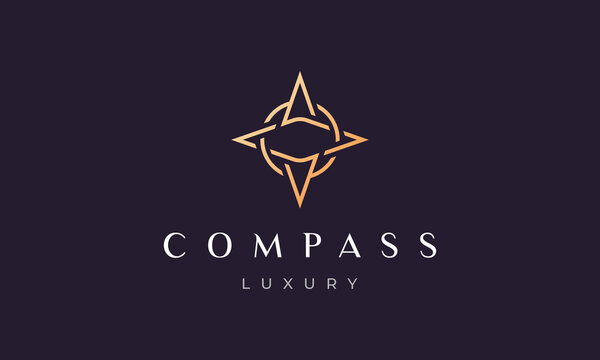 compass logo concept in a modern and luxury style