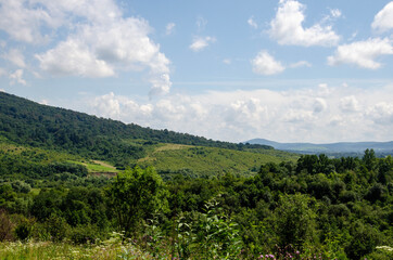 Fototapeta premium clouds over the forest