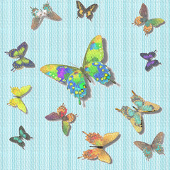Blue Background Image with colorful butterflies