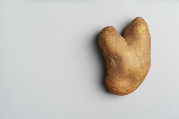 Funny, unnormal vegetable or food waste concept. Ugly potato in the heart shape on a gray...