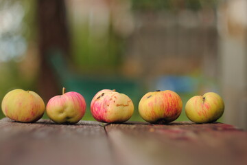 apples on a wooden background