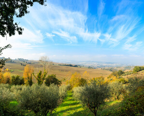Beautiful rural landscape, autumn day in countryside, blue sky