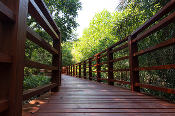 Landmark of Rayong Thailand. Wooden bridge watching the mangrove forest by the water. Arched red wooden bridge surrounded by mangrove forests.