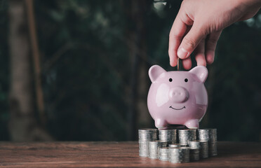 The hand is putting a coin into the piggy bank, which is placed on top of the coin pile....