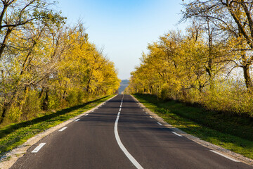 Beautiful road in the beautiful trees. A country road in the fall. Autumn in the park. Empty race track.