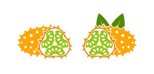 Kiwano  logo. Isolated kiwano  on white background