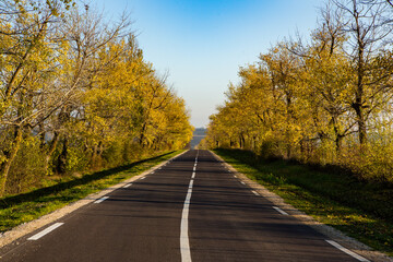 Fototapeta premium Beautiful road in the beautiful trees. A country road in the fall. Autumn in the park. Empty race track.
