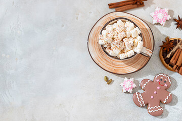 Hot winter drink. Cup of hot chocolate with marshmallows and gingerbread cookies on white background.