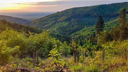 autumn in the mountains