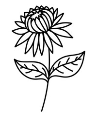 FLOWER SILHOUETTE ON A WHITE BACKGROUND