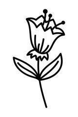 FLOWER SILHOUETTE ON A WHITE BACKGROUND