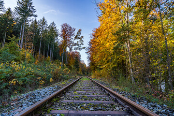 Fototapeta premium Wonderful autumn hike near Koenigseggwald in Upper Swabia