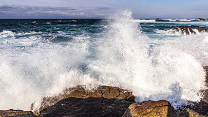 Fototapete bei efototapeten.de bestellen   