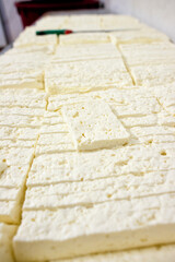 preparation of casizolu cheese in Sardinia