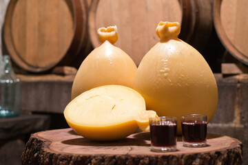 casizolu cheese produced with milk from cows raised in the wild in Sardinia