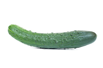 One cucumber on a white background