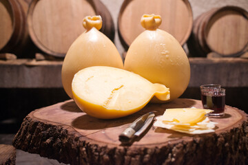 casizolu cheese produced with milk from cows raised in the wild in Sardinia