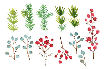 Christmas decor watercolor winter decorations. Spruce branches and winter berries