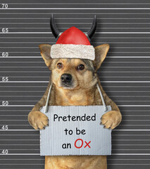A dog was arrested. He has a sign around its neck that says Pretended to be an Ox. Police lineup...
