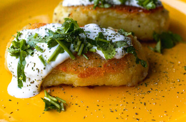Potato patties (zrazy) stuffed with onion and mushrooms, served with greenery (cilantro), spices and cream sauce. 