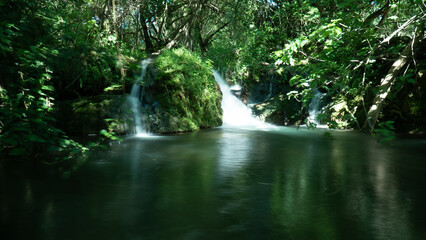 Obraz premium waterfalls in the forest