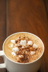 Overhead angle photo cup o hot cocoa with marshmallows and cinnamon sprinkled