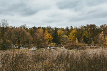 Beautiful autumn landscape with a river and a forest. Late fall.