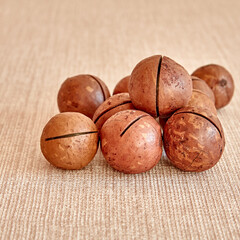 Shelled and unshelled macadamia nuts on white background