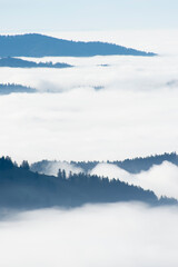 Nebelschwaden in den Tälern des Schwarzwaldes
