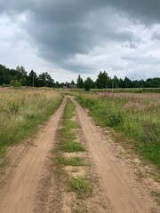 Hiking track in the field, countryside  road