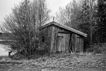old barn in the woods in black and white