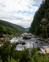 Fototapeta na wymiar Beautiful view of The Glenmacnass river in the Wicklow mountains