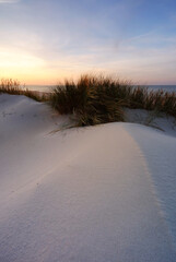 Wydmy na wybrzeżu Morza Bałtyckiego,zachód słońca, plaża, biały piasek, trawa - obrazy, fototapety, plakaty