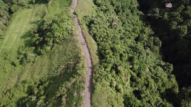 walking path made of stone through the forest in bali. arial shot