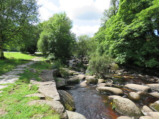 Fototapeta na wymiar Stepping stones on the river dart on dartmoor