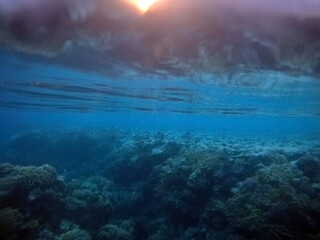 Fototapeta na wymiar Unserwater sinset.Red Sea. Sharm El Sheikh, Egypt.