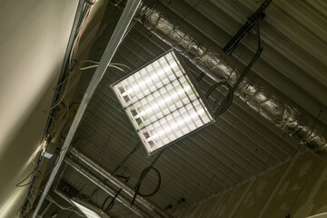 Obraz premium lamp on the wall