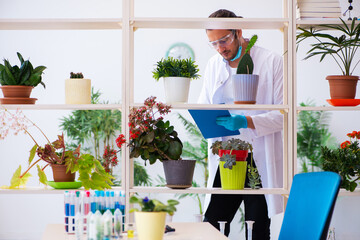Young male chemist perfumer working in the lab