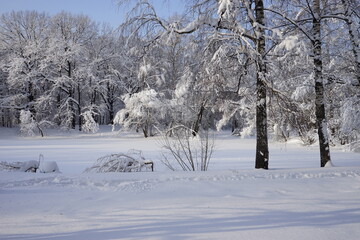Fototapeta na wymiar snowy beautiful winter in Kuskovo park in Moscow