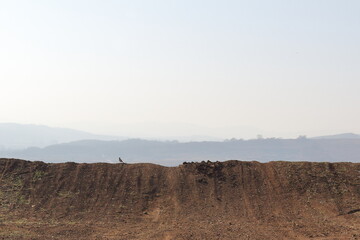 landscape view of the foothills in the fog