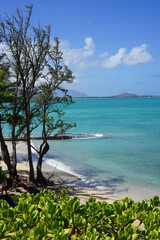 KAILUA BEACH PARK PAVILION O'AHU HAWAII